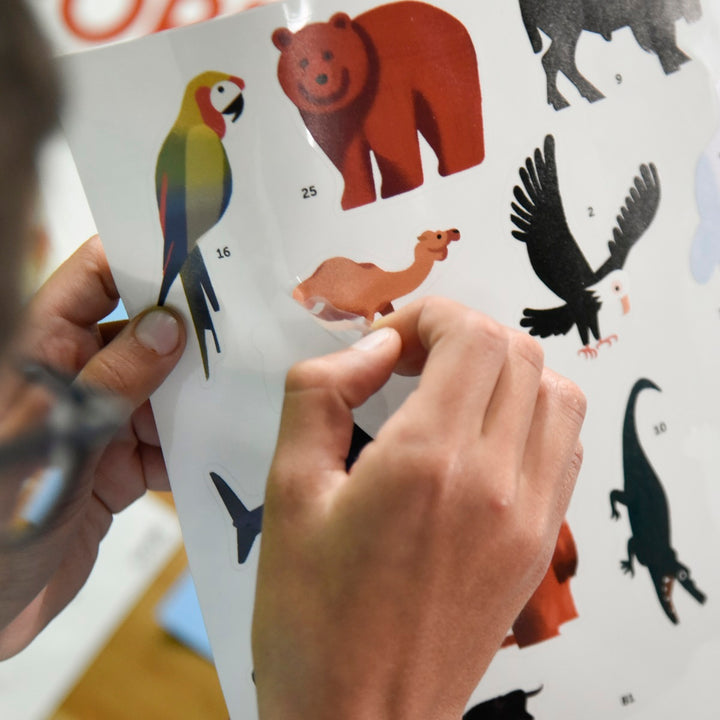 Mains avec Affiche découverte et autocollants repositionnables Animaux du monde