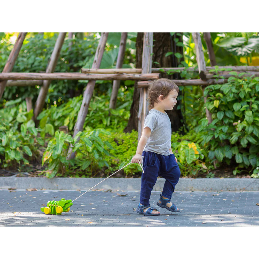 Garçon avec Alligator dansant en bois vert à tirer