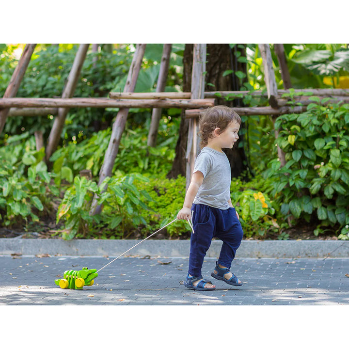 Garçon avec Alligator dansant en bois vert à tirer
