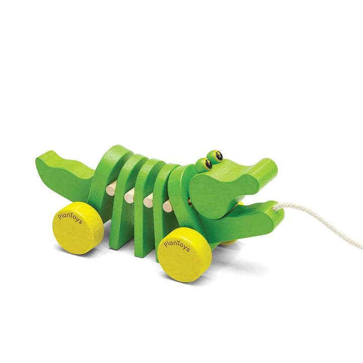 Alligator dansant en bois vert à tirer