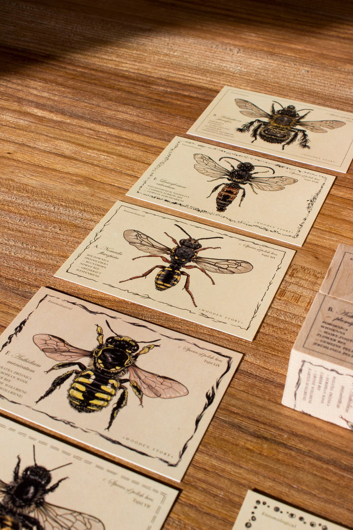 Blocs en bois sur les Espèces d'abeilles