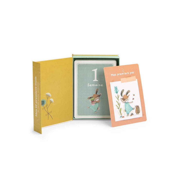 Cartes photos naissance Trois petits lapins Mes 12 premiers mois