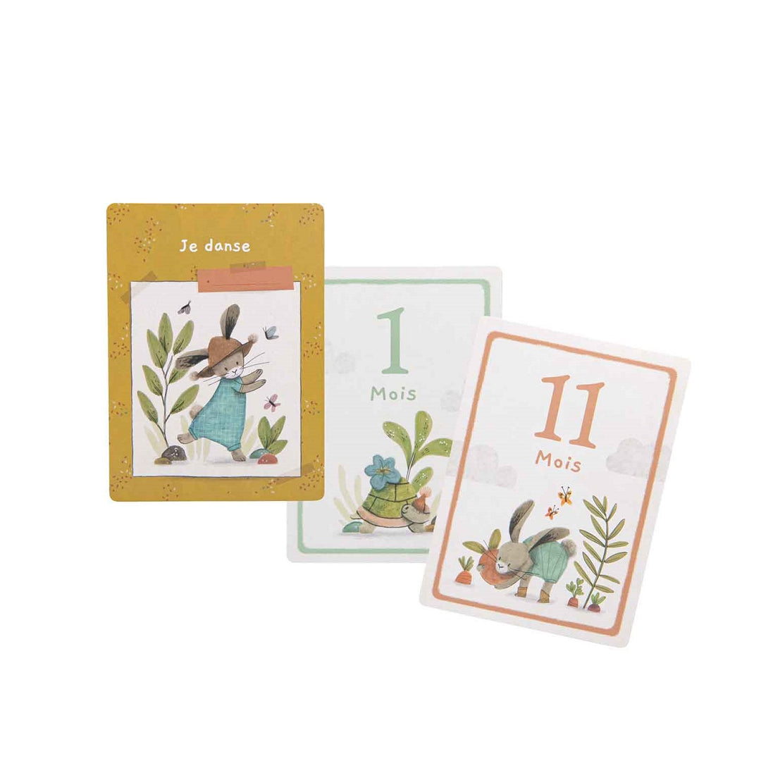 Cartes photos naissance Trois petits lapins Mes 12 premiers mois