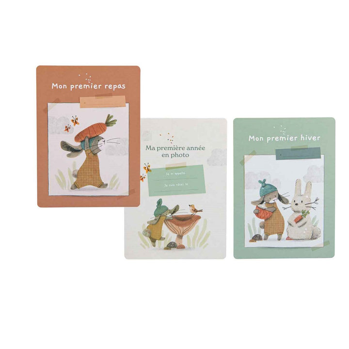 Cartes photos naissance Trois petits lapins Mes 12 premiers mois