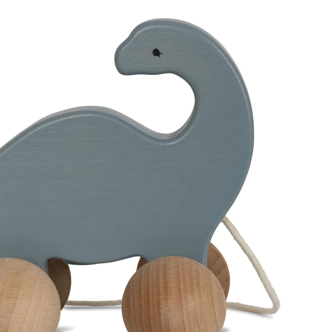 Famille dinosaures roulant en bois