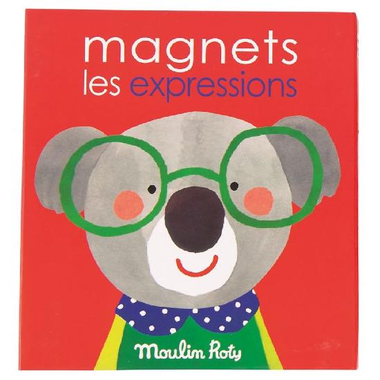 Jeu magnetique les expressions