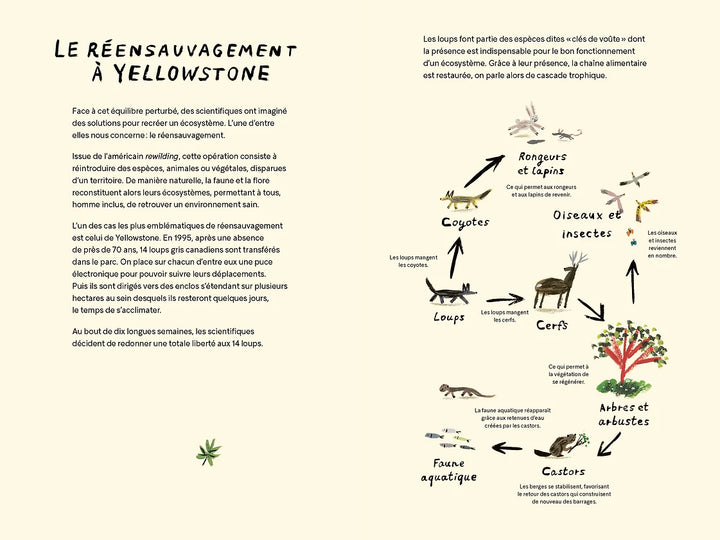 Le retour des loups par Nadja Belhadj
