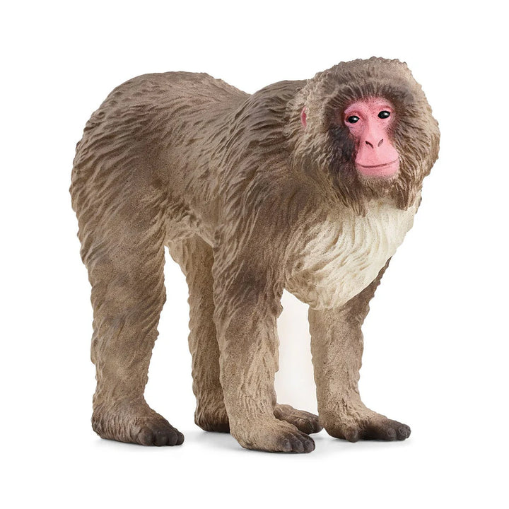Figurines animaux d'Asie et d'Océanie