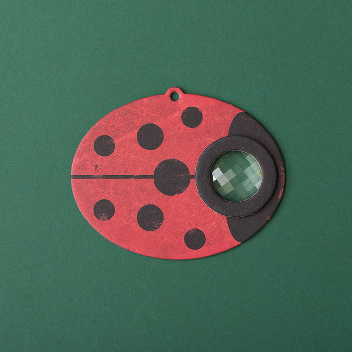 kaléidoscope oeil d'insecte coccinelle