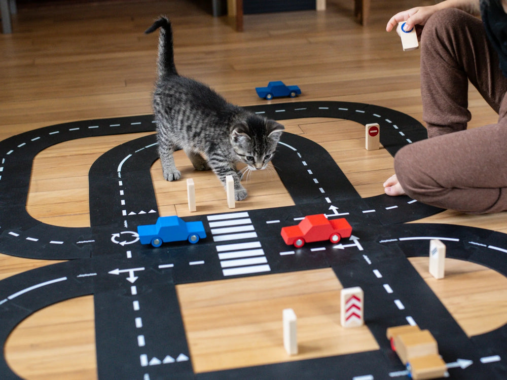 Route flexible Autoroute de 40 morceaux avec voitures