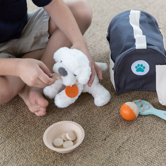 Trousse de soins pour animaux de compagnie Plan Toys