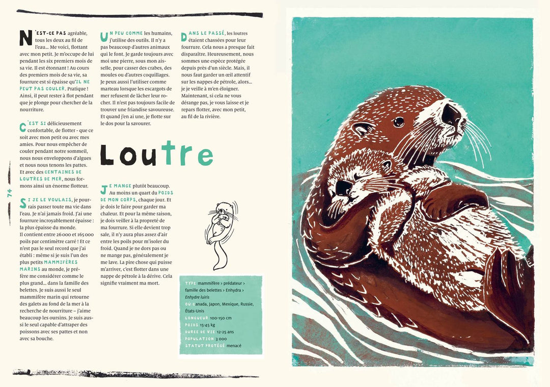 Livre Grand Nord