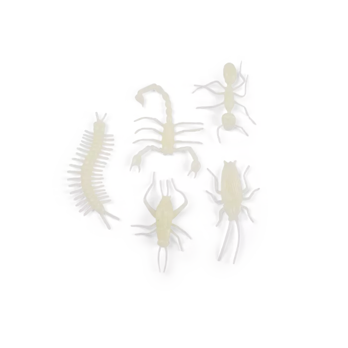Insectes phosphorescents