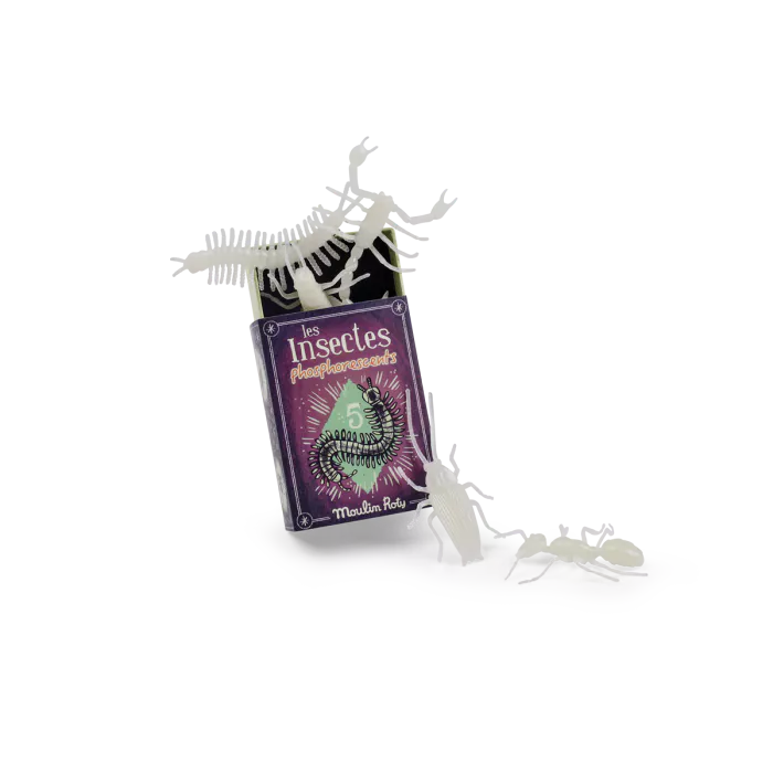 Insectes phosphorescents