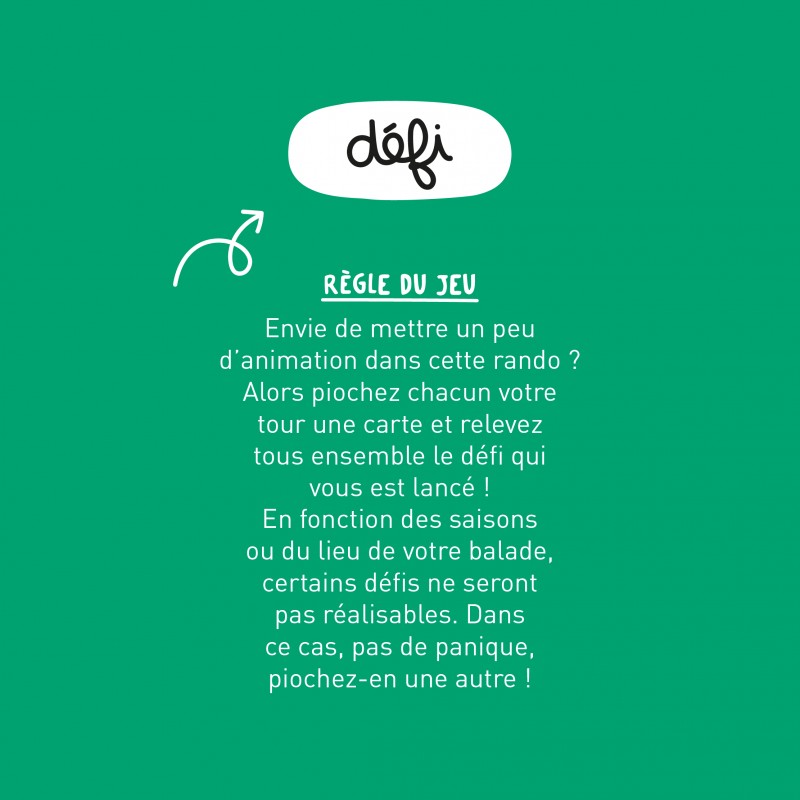 Jeu Rando Dingo de Défis cool