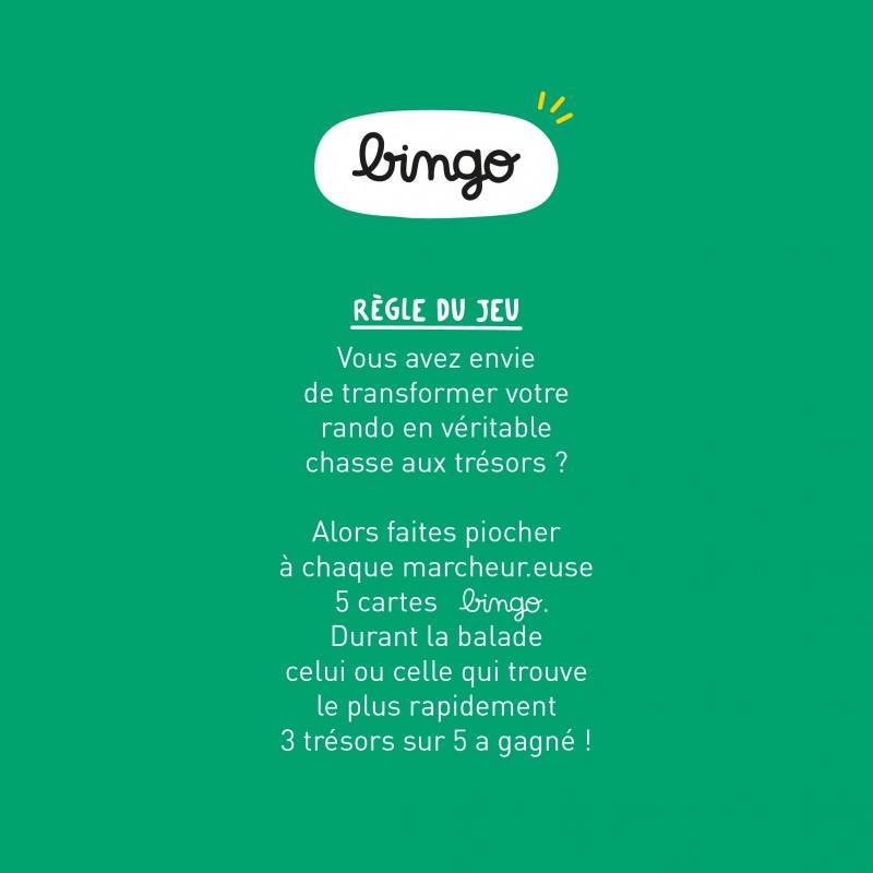 Jeu Rando Dingo de Défis cool