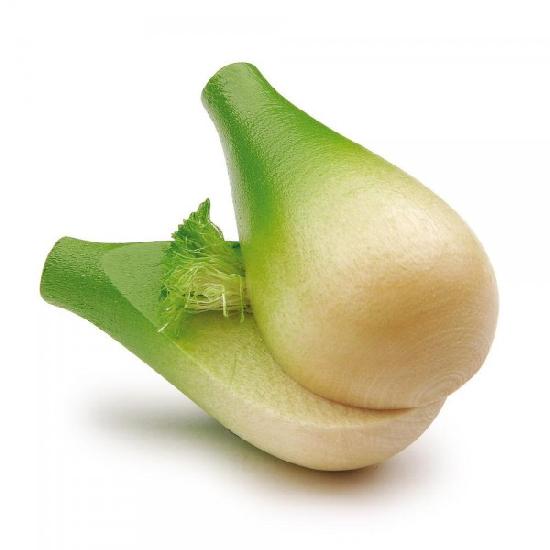 erzi fennel bulb fenouil