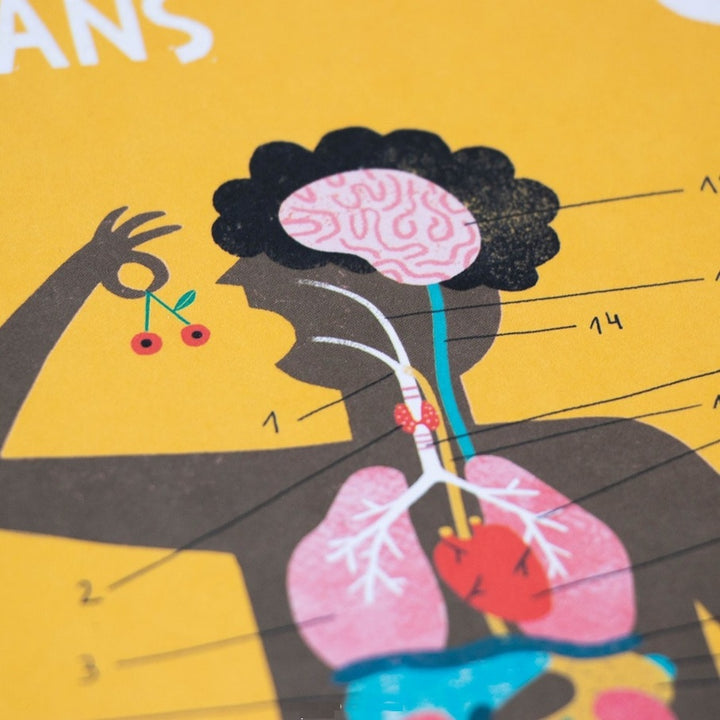 Jeu pour connaître le nom et la position des organes, des muscles et des os du corps humain