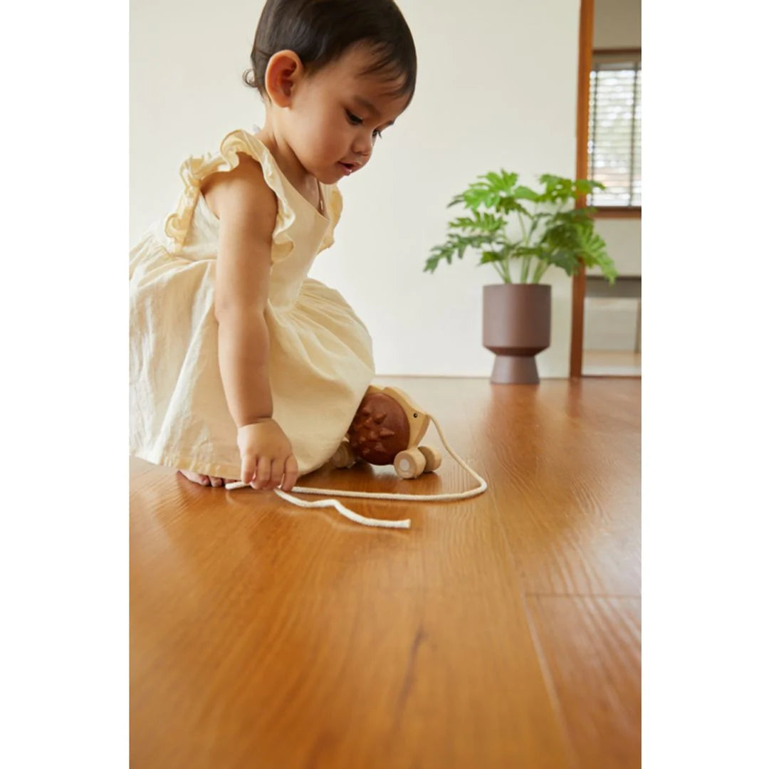Enfant avec Plan Toys - Hérisson à tirer