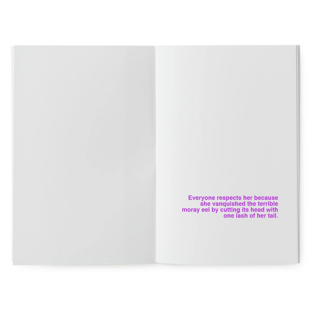 A book to illustrate - The Mysterious Shrimp