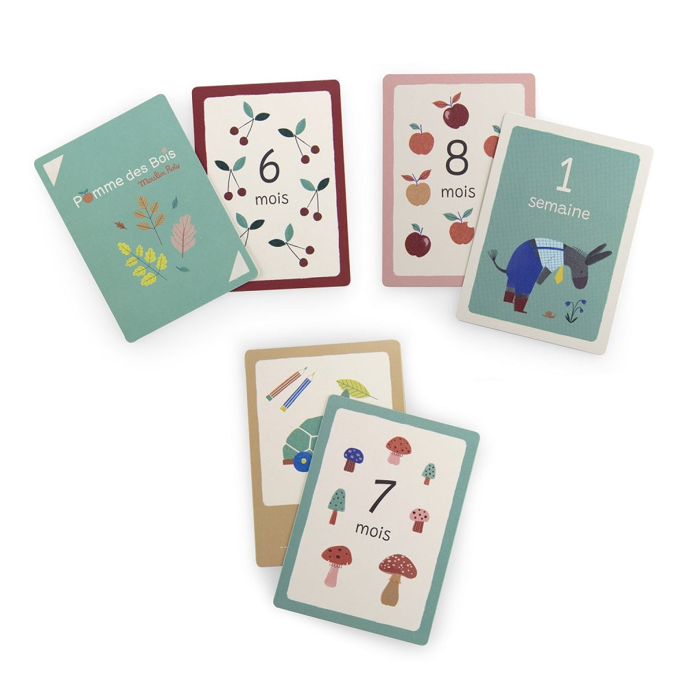 Moulin Roty - Cartes photos naissance - Mes 12 premier mois