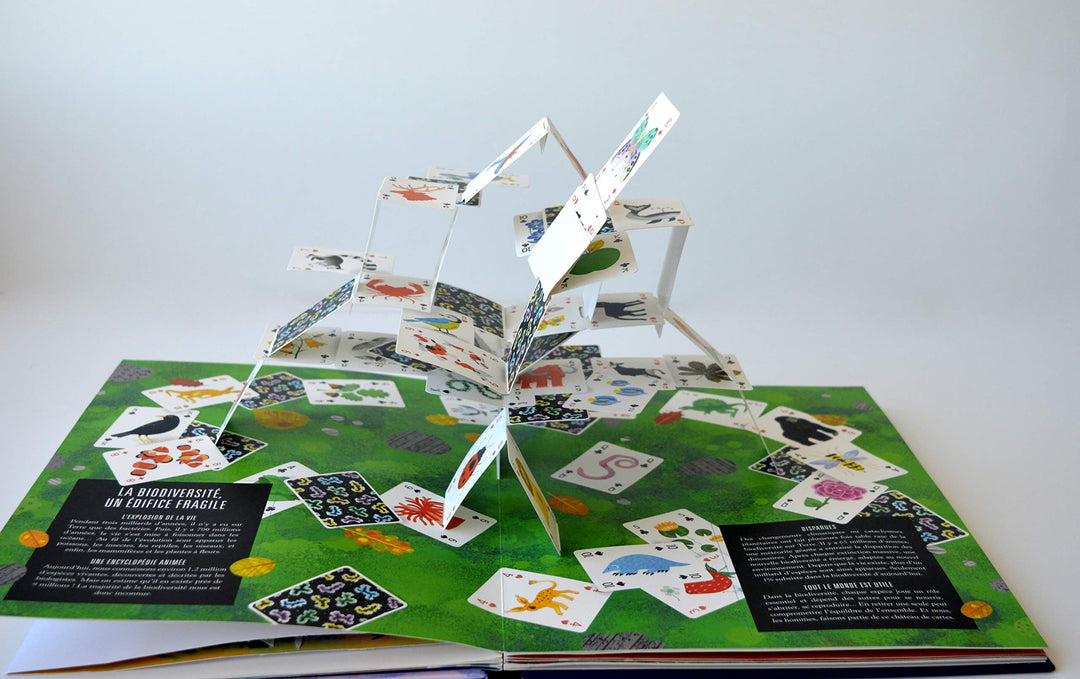 livre pop-up terre Olivier Charbonnel  Anne Jankeliowitch Annabelle Buxton