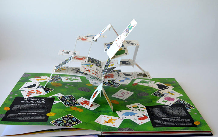 livre pop-up terre Olivier Charbonnel  Anne Jankeliowitch Annabelle Buxton