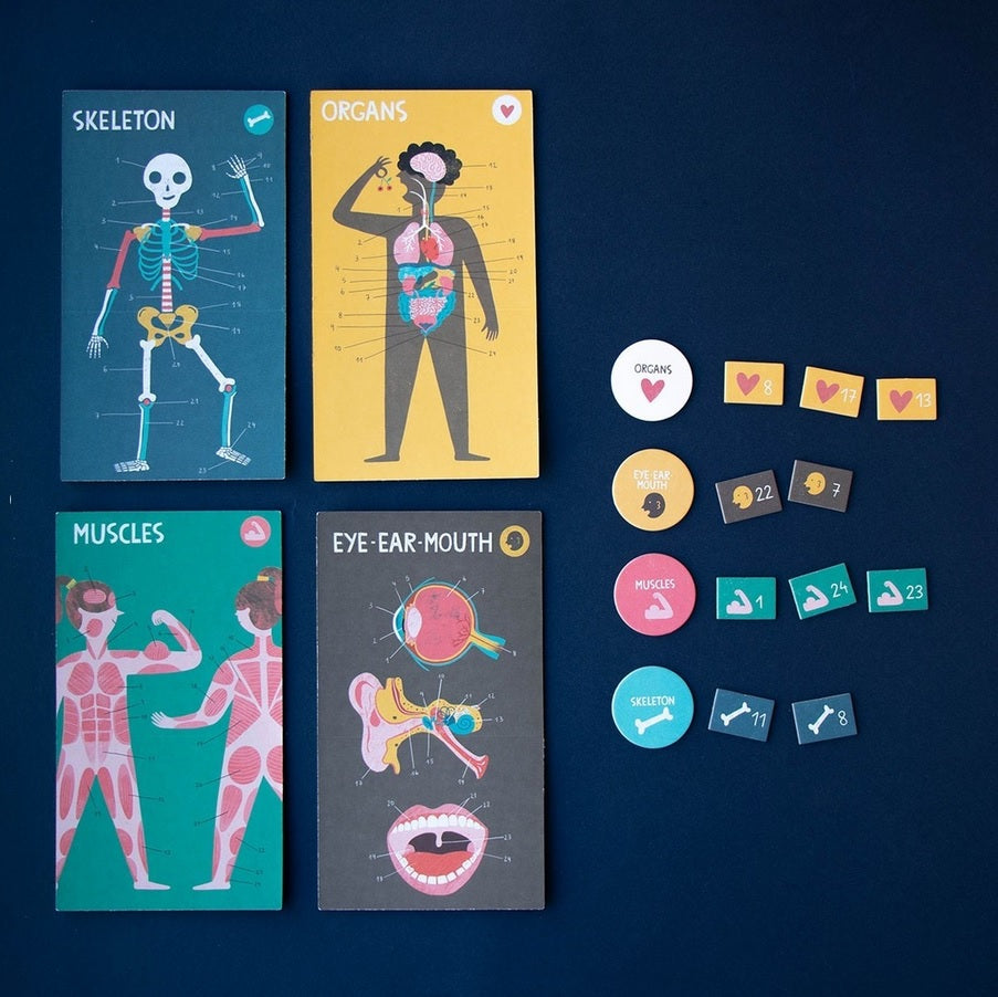 Jeu pour connaître le nom et la position des organes, des muscles et des os du corps humain