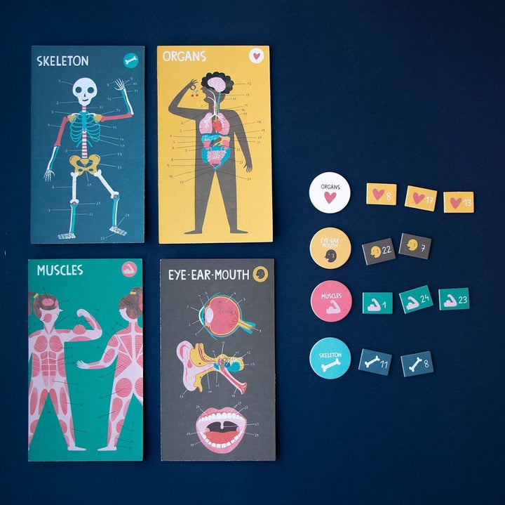 Jeu pour connaître le nom et la position des organes, des muscles et des os du corps humain