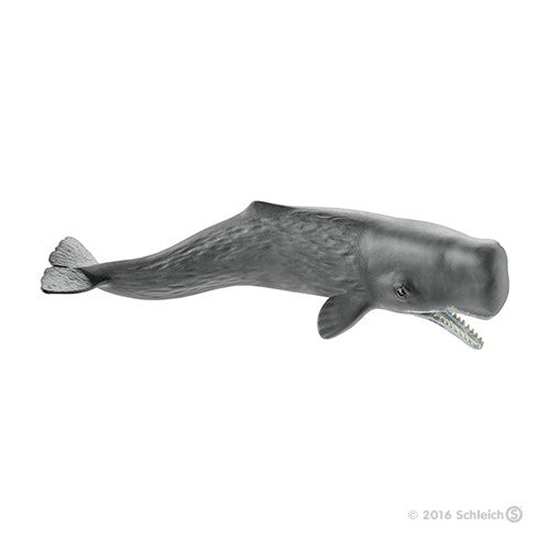 Figurines animaux de l'Océan