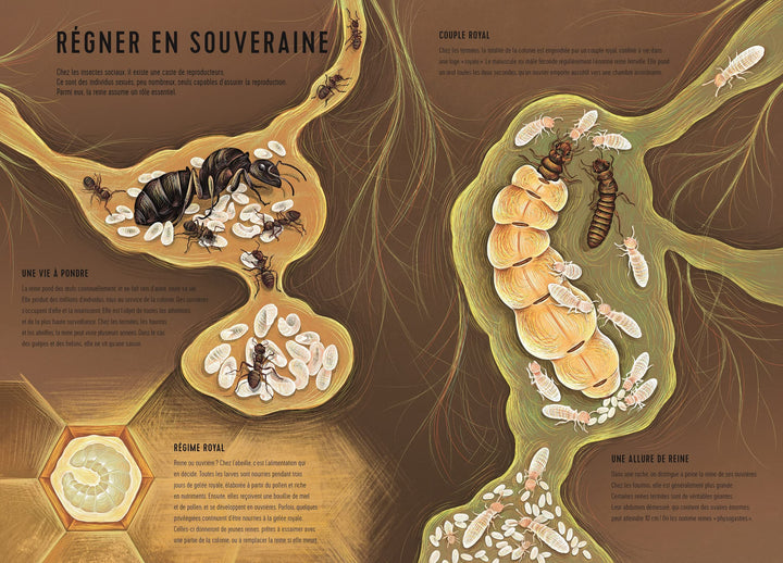 Royaumes minuscules ANNE JANKÉLIOWITCH , ISABELLE SIMLER