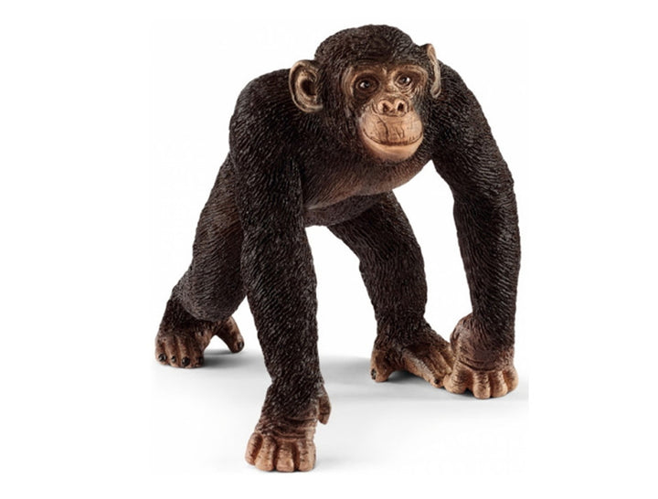 Figurines animaux d'Asie et d'Océanie