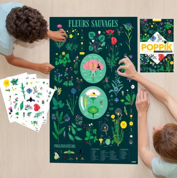 Affiche découverte et autocollants repositionnables - Botanique