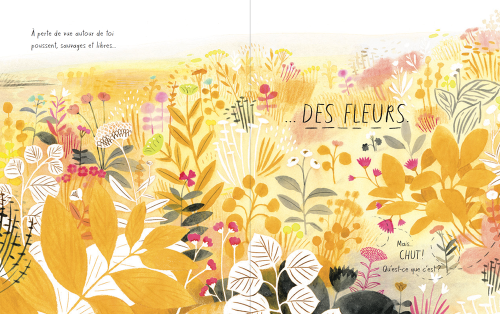 La pasteque Isabelle Arsenault l'abeille à miel album jeunesse kristen hall livre pour enfant