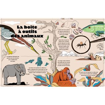 livre documentaire dans la tête des animaux fleur daugey jeanne detallante