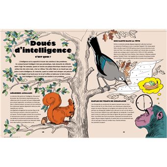 livre documentaire dans la tête des animaux fleur daugey jeanne detallante