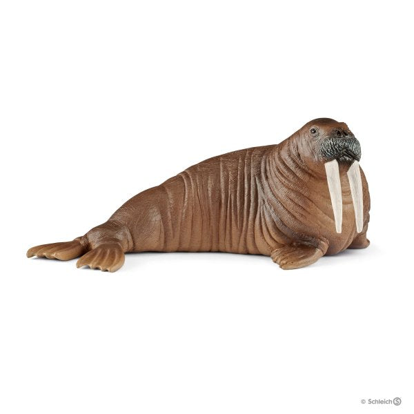 Figurines animaux de l'Océan