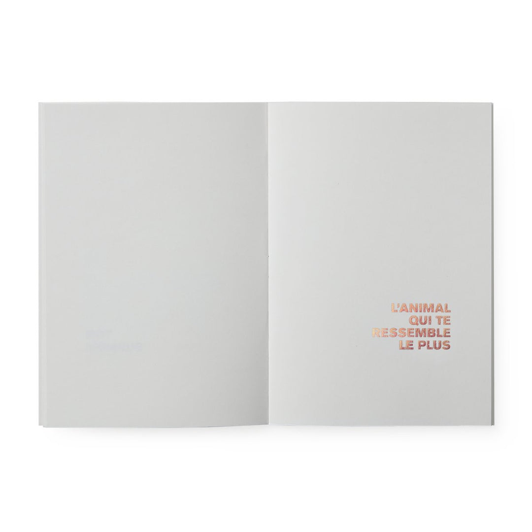 toi un livre pour t'illustrer supereditions