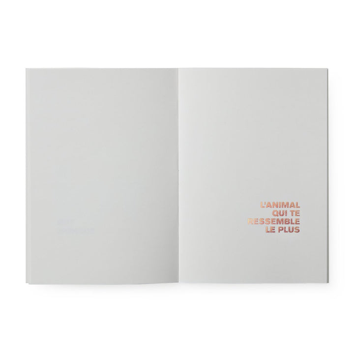 toi un livre pour t'illustrer supereditions