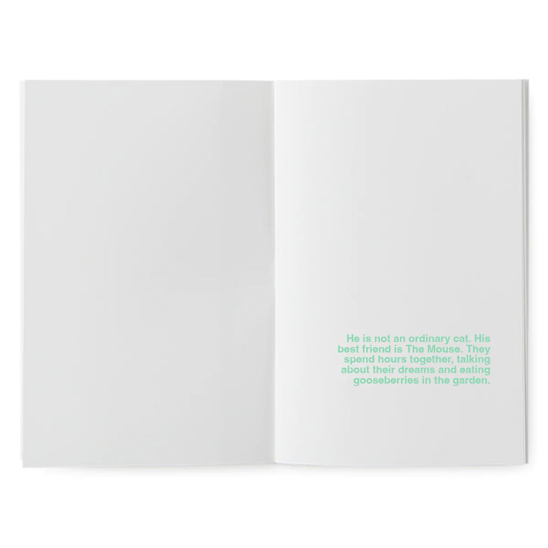 Superéditions - A book to illustrate - The flying kitten