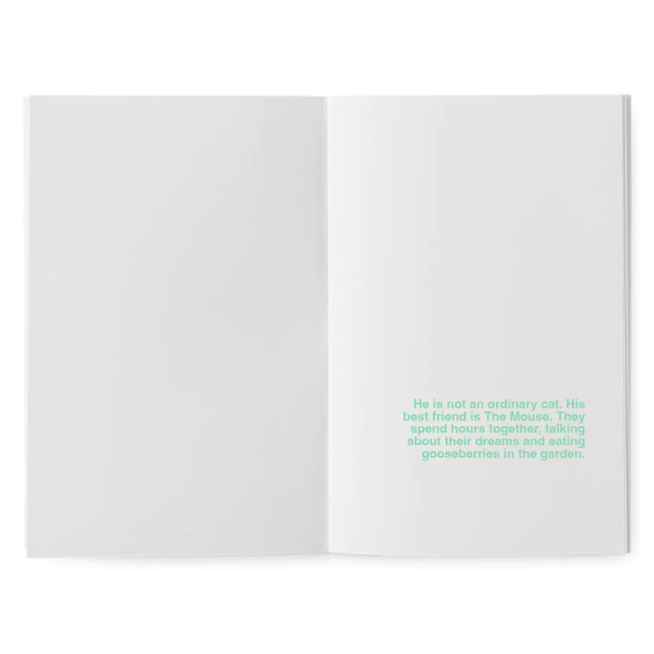 Superéditions - A book to illustrate - The flying kitten
