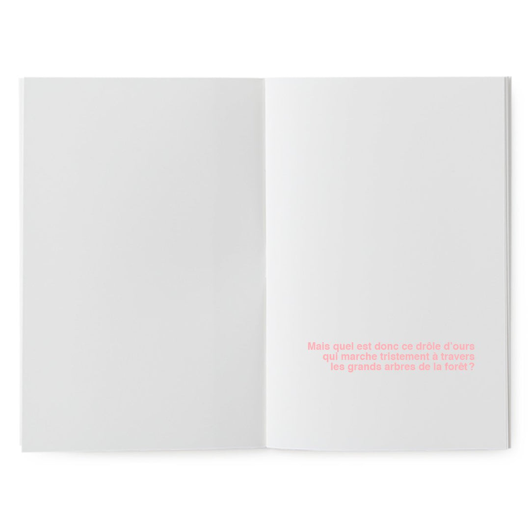 superéditions livres à illustrer peau d'ours