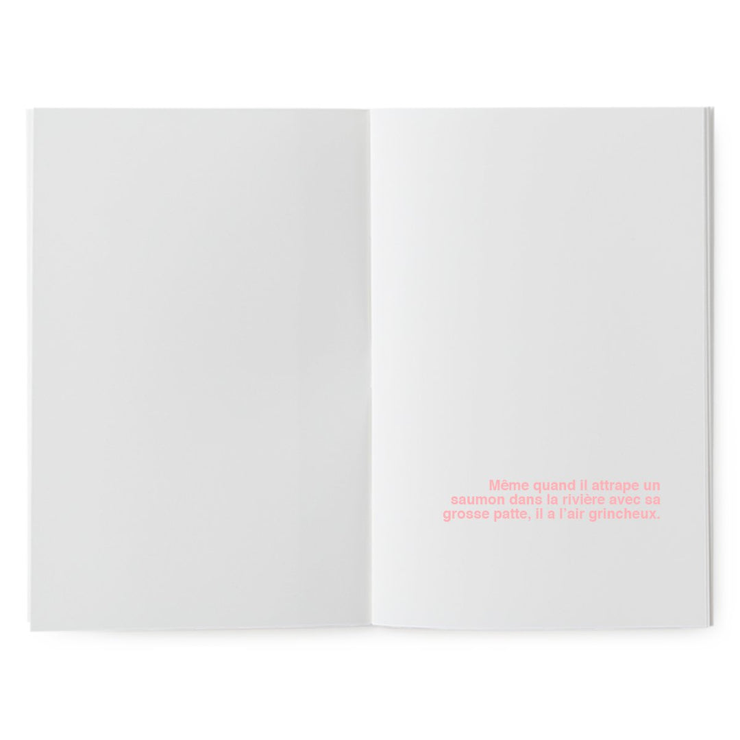 superéditions livres à illustrer peau d'ours