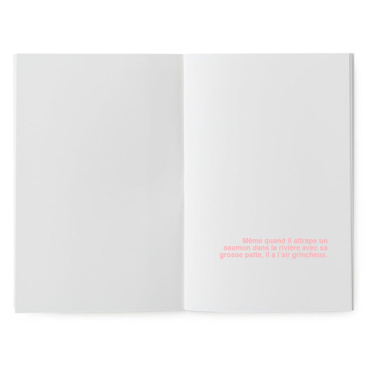 superéditions livres à illustrer peau d'ours