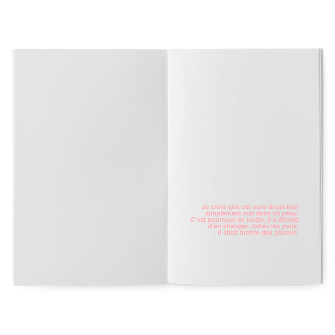 superéditions livres à illustrer peau d'ours
