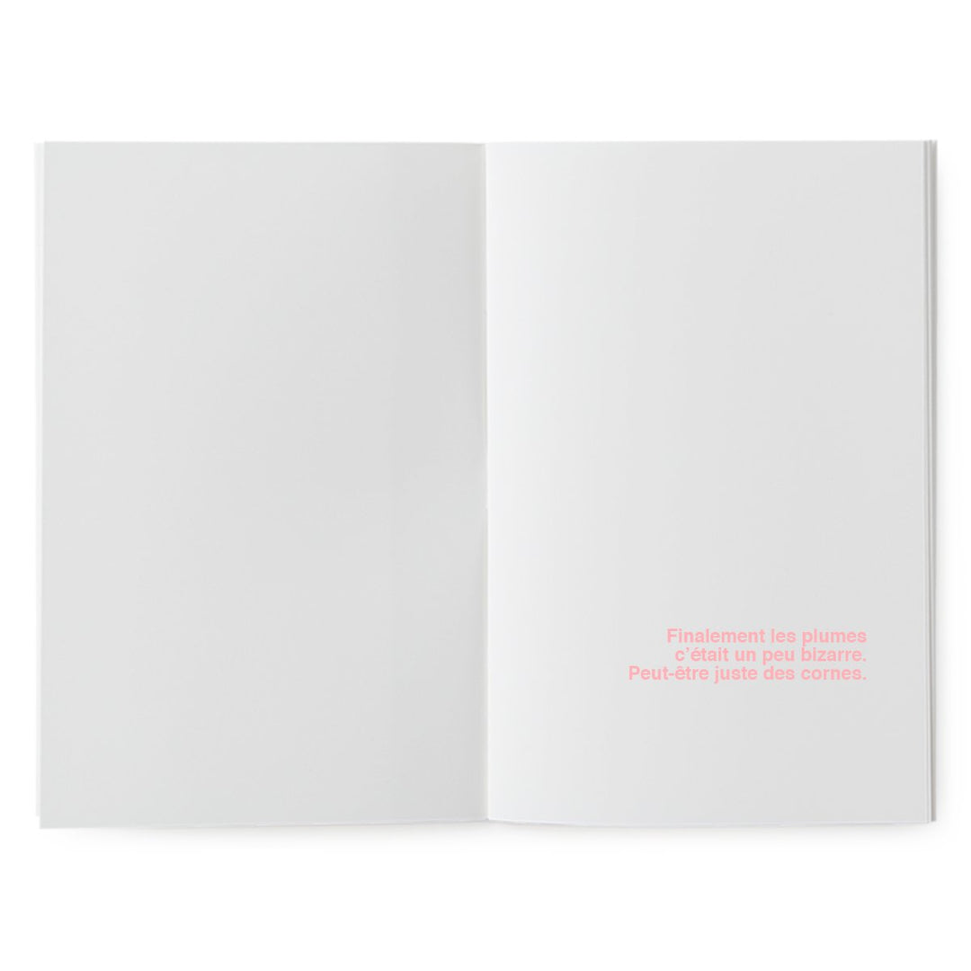 superéditions livres à illustrer peau d'ours