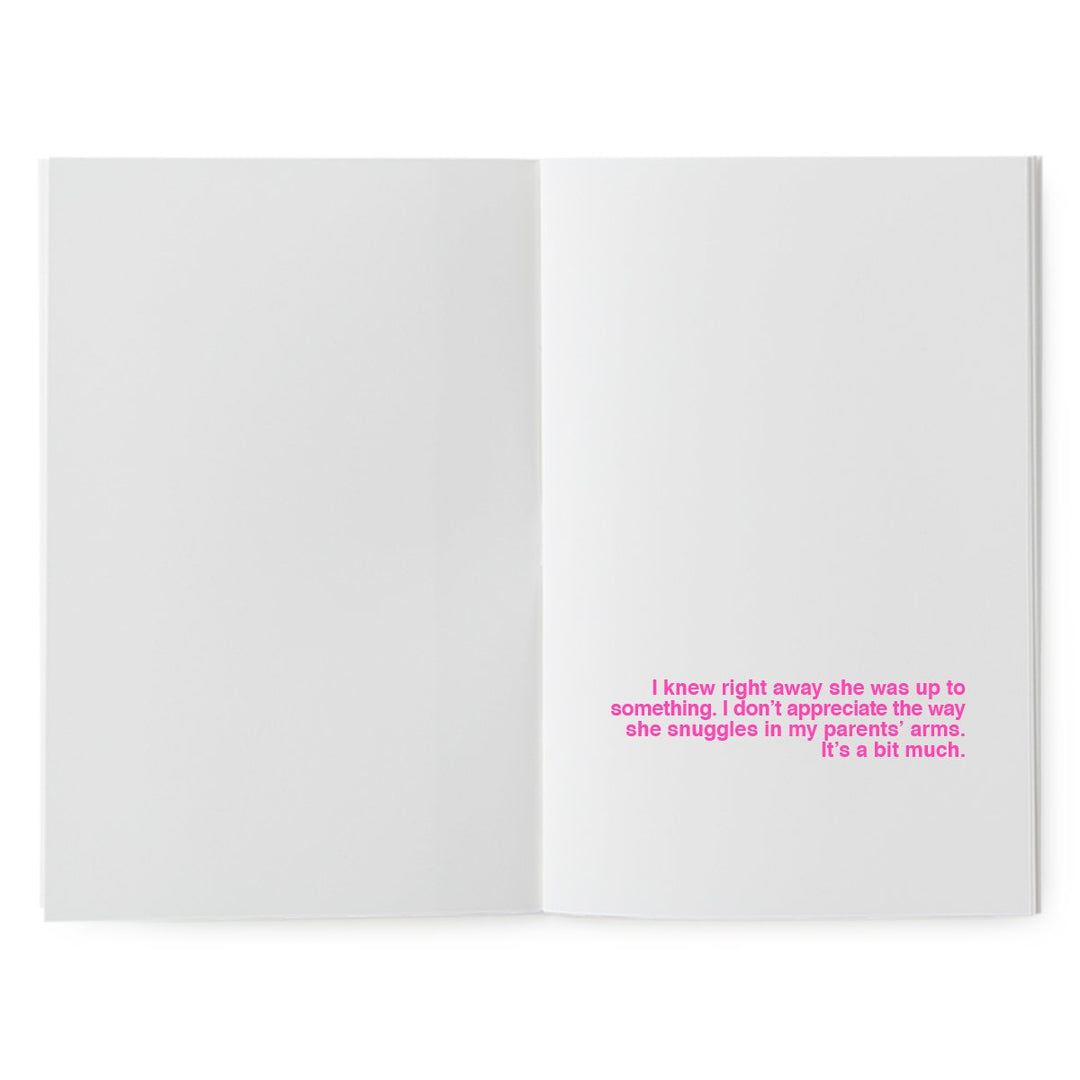 supereditions book to illustrate my wicked sister