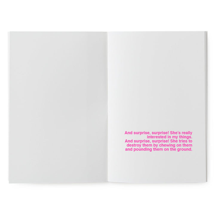 supereditions book to illustrate my wicked sister