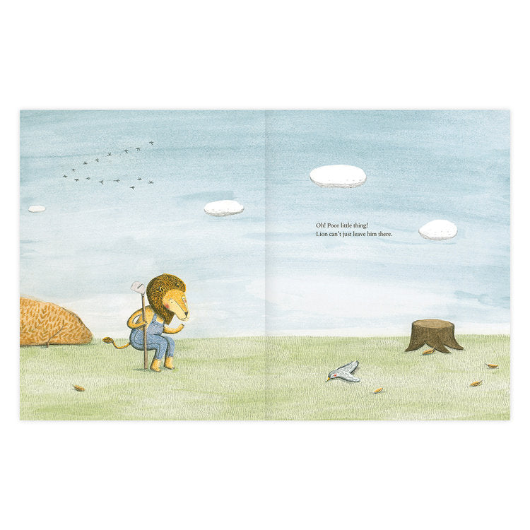 the lion and the bird marianne dubuc book