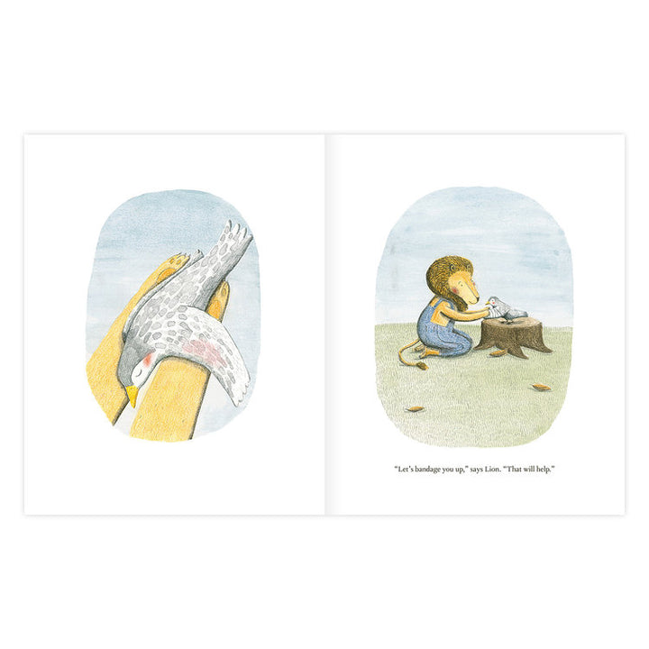 the lion and the bird marianne dubuc book